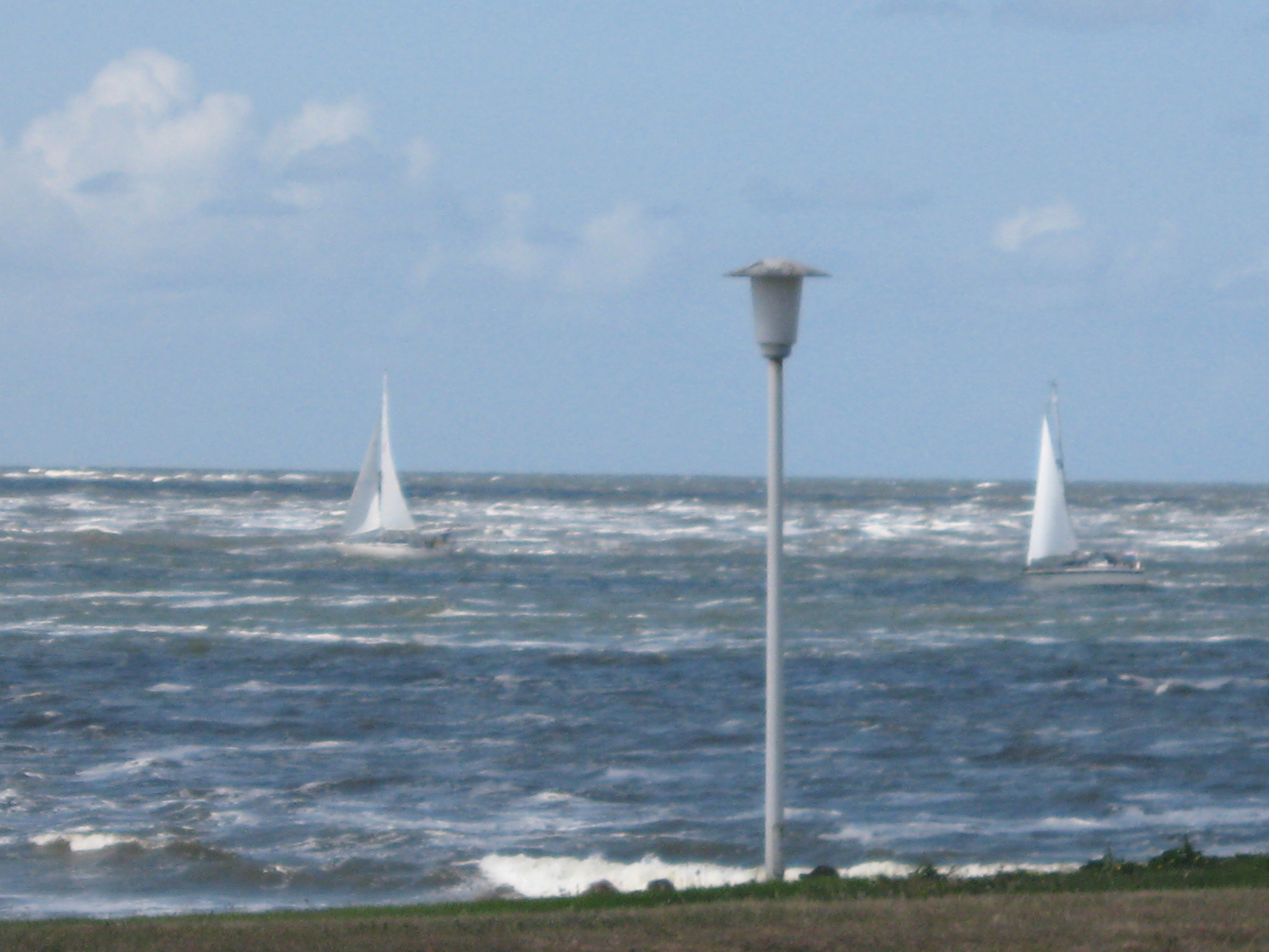 Mai 2008 007
