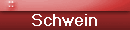 Schwein